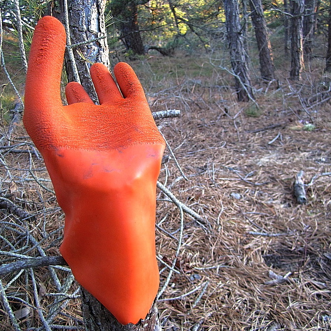 glove_6april2012_icon_queerecology